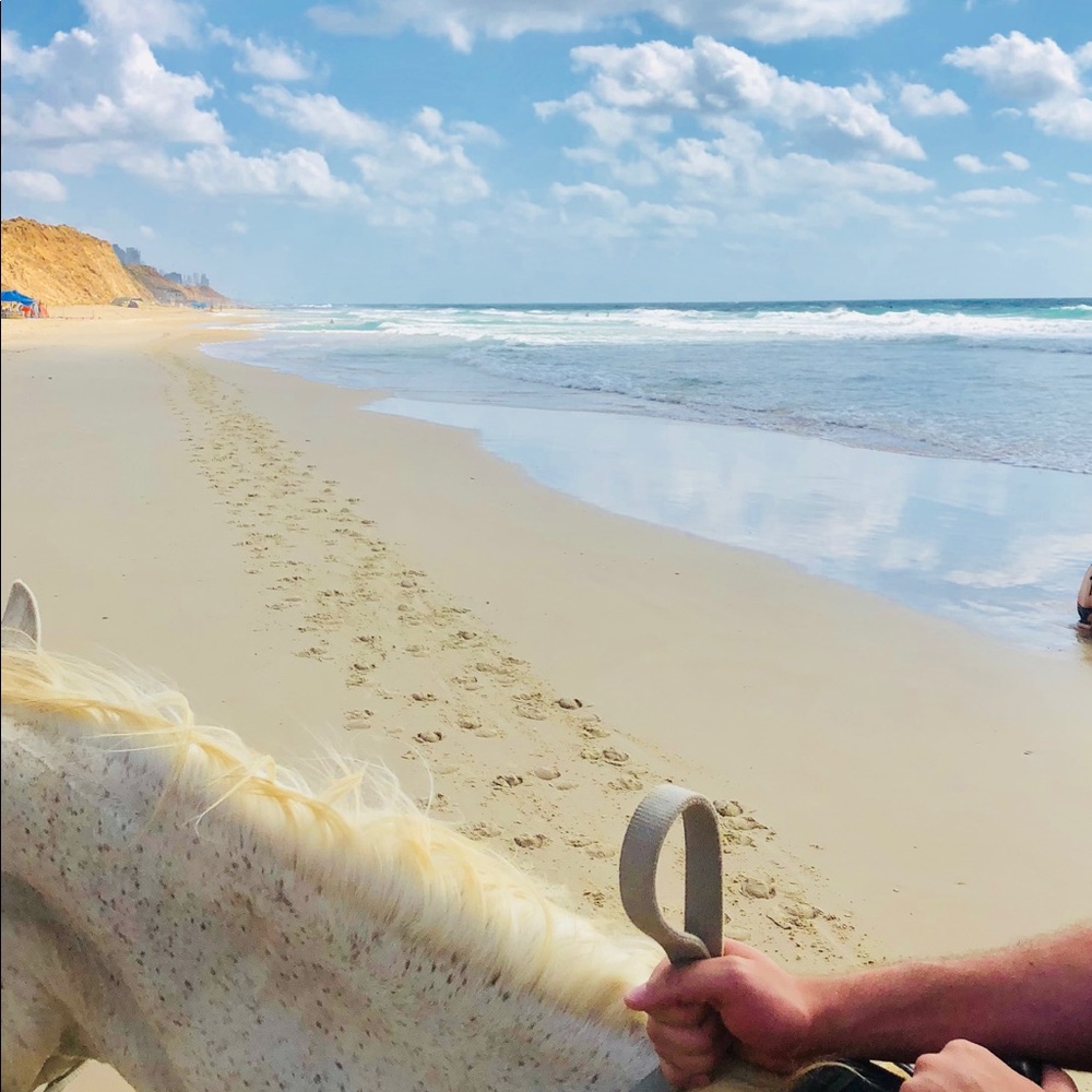 Meet your Posher, Rebecca